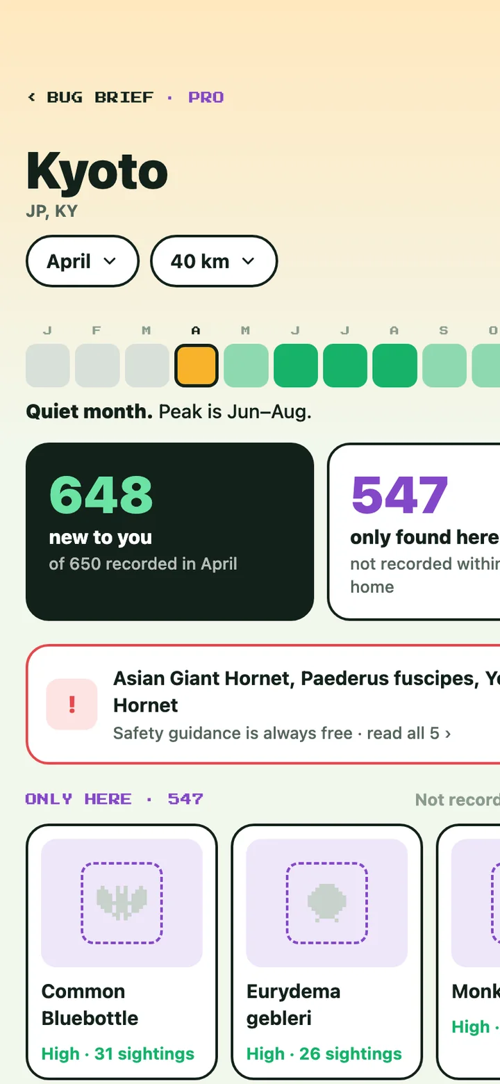 App screen: Bug Brief for Kyoto in April with 648 species new to you